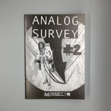 Analog Survey #2
